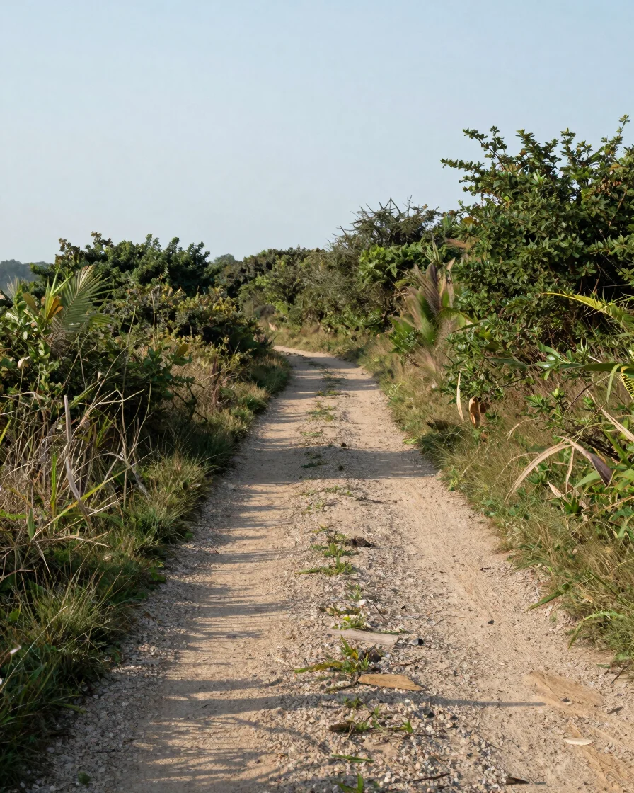 Wide editorial travel photograph of a quiet trail at morning, natural daylight, true-to-life color, calm mood, wide envi